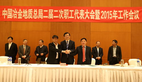 中国冶金地质总局2015年工作会议专题