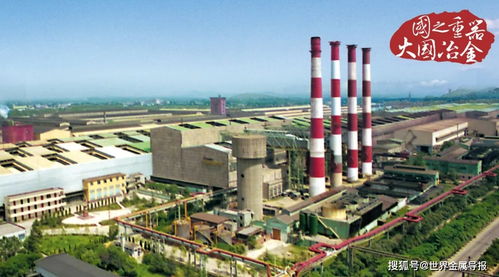 冶金建设国家队携手武钢见证钢铁工业腾飞