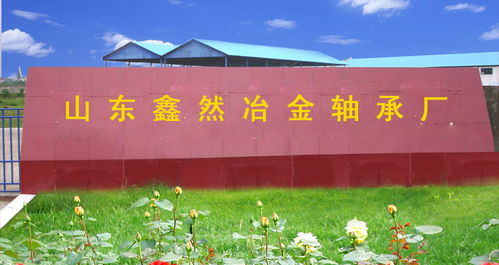 山东鑫然冶金轴承